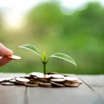 How to Start Investing with Little Money