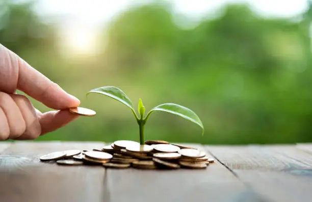 How to Start Investing with Little Money