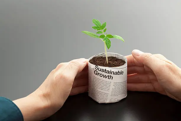 why financial values are important